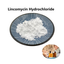 Comprar online CAS 154-21-2 LinComycin Hydrochloride MSDS